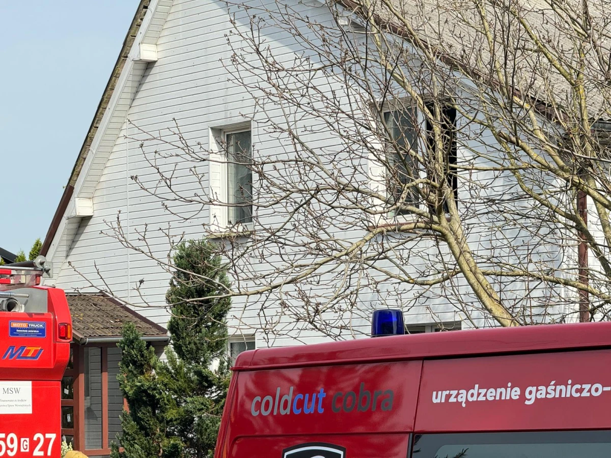 Zdjęcie