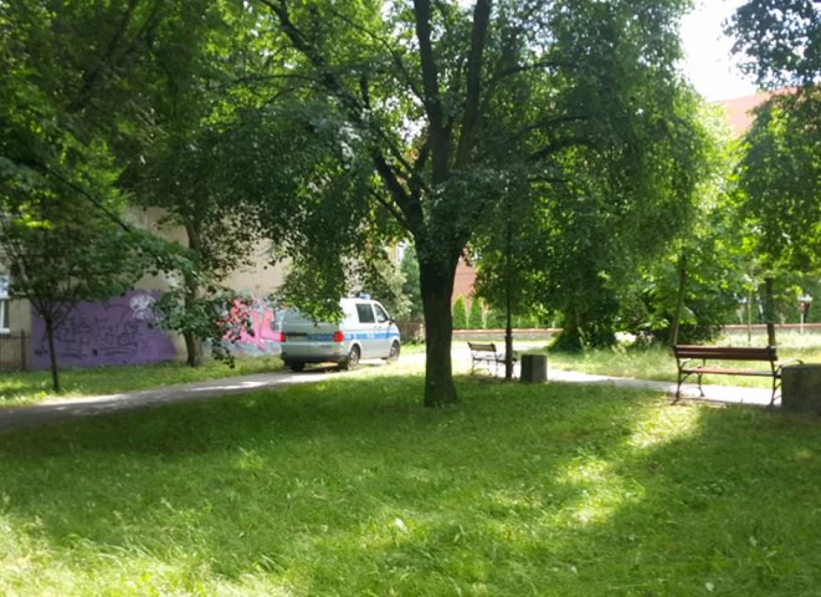 Zdjęcie