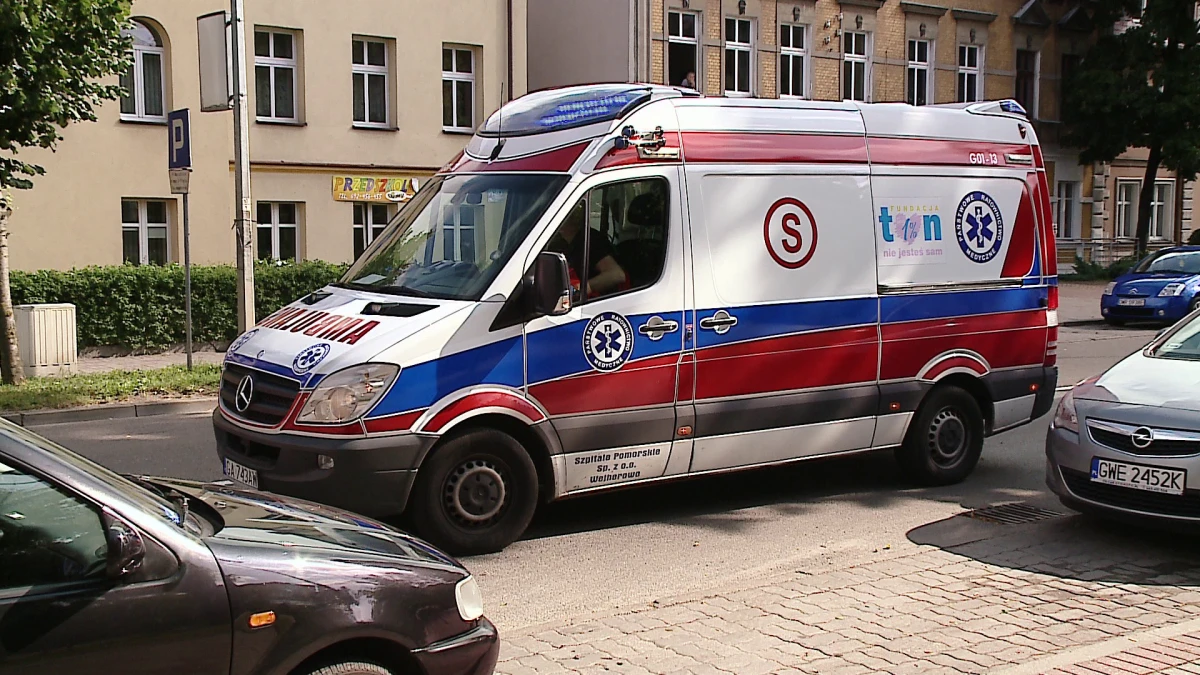 Zdjęcie