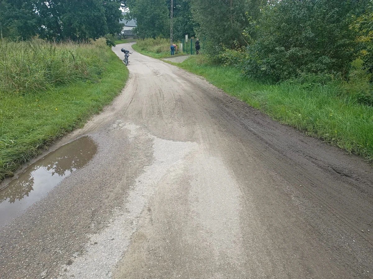 Zdjęcie