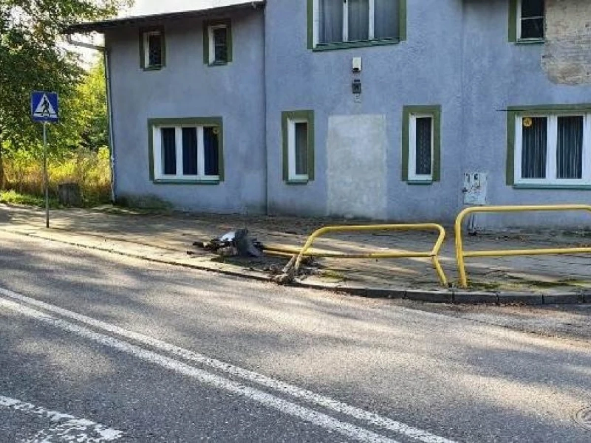 Zdjęcie