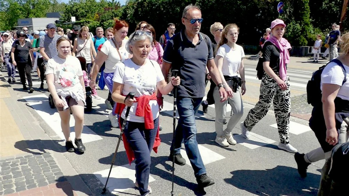 Zdjęcie
