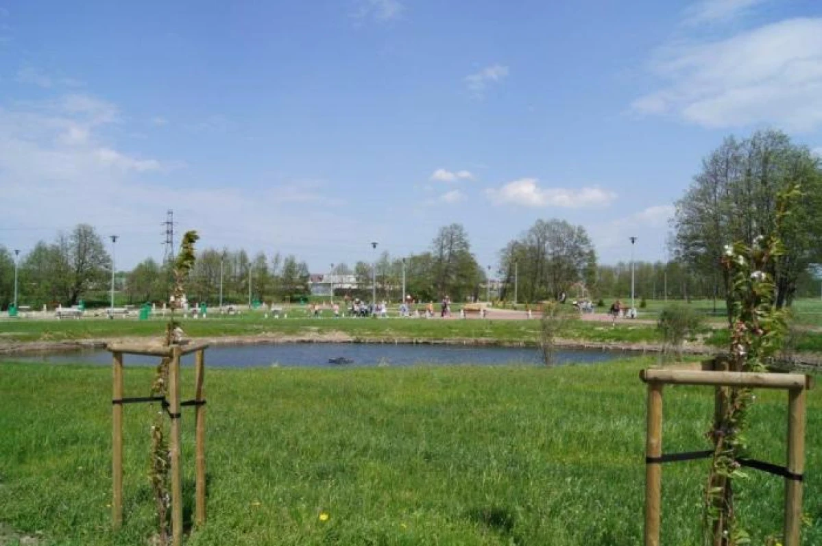 Zdjęcie