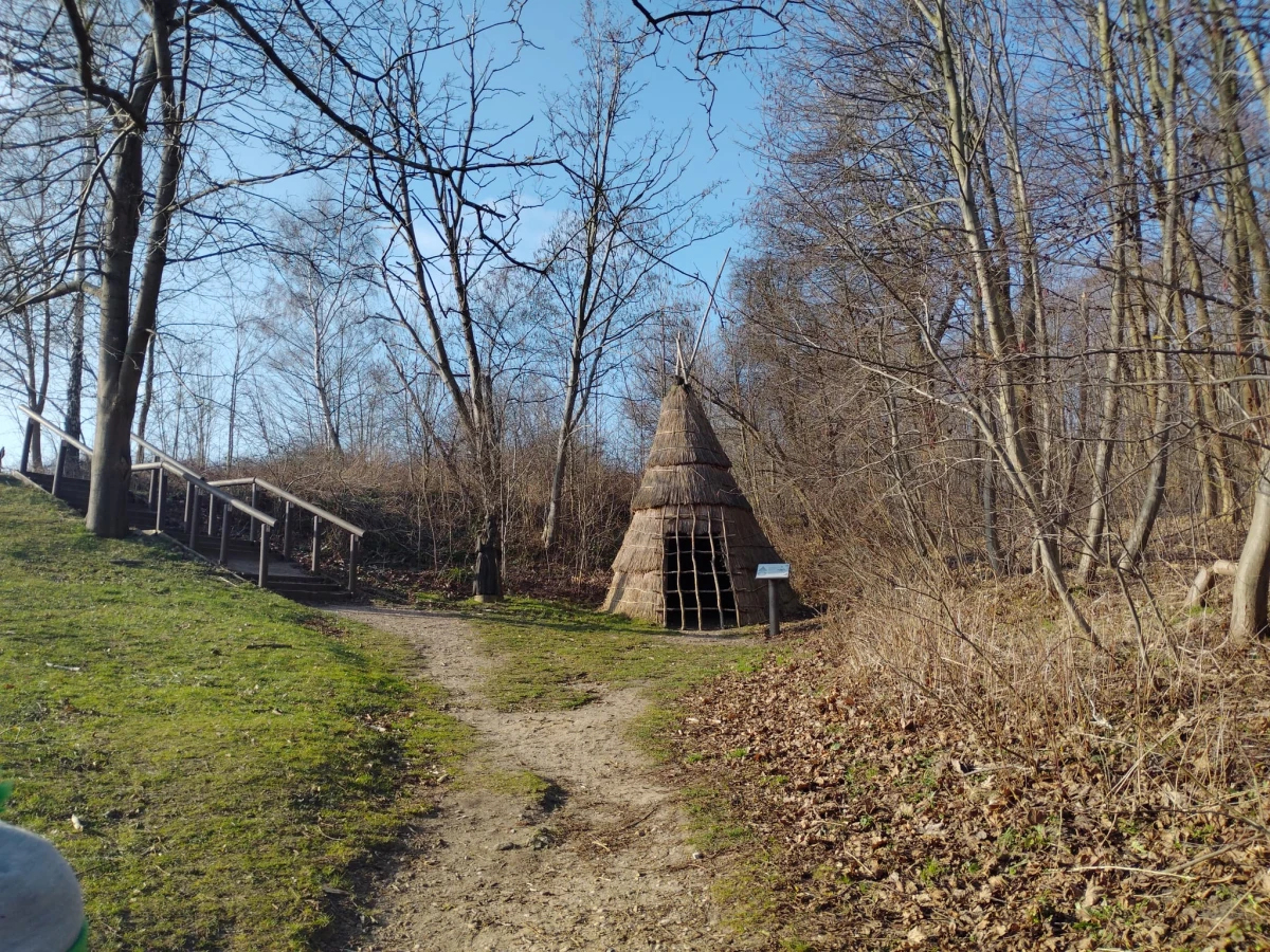 Zdjęcie
