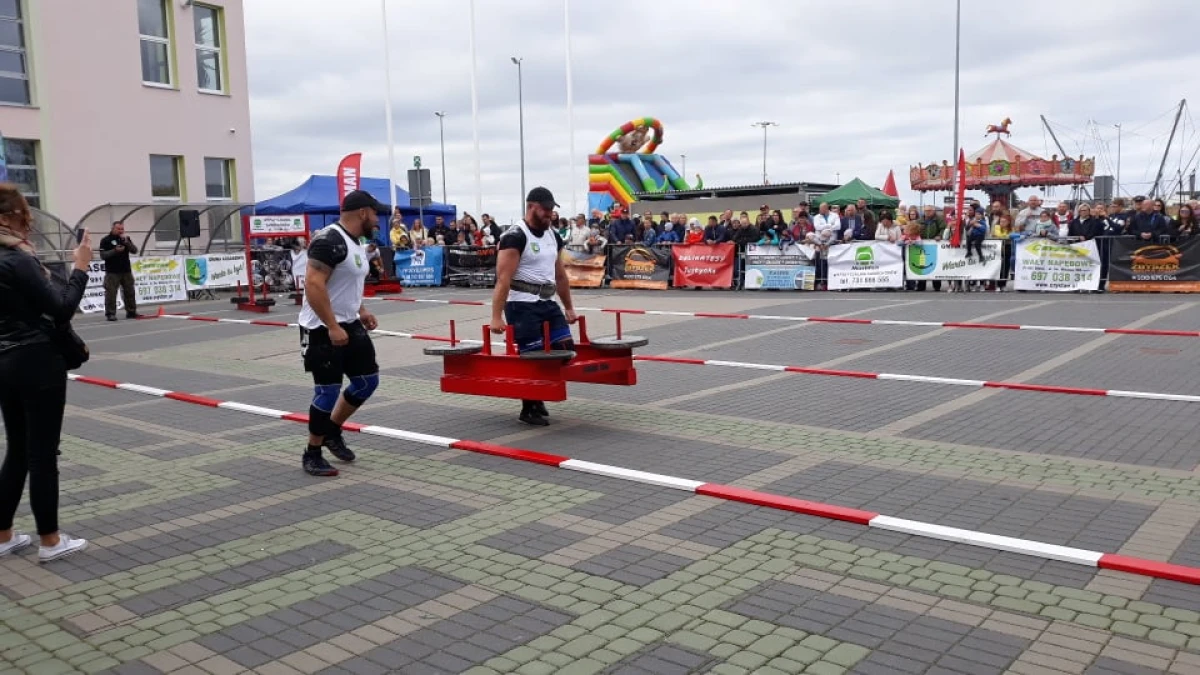 Zdjęcie