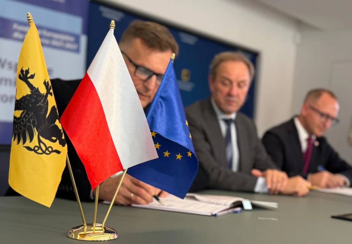 Zdjęcie