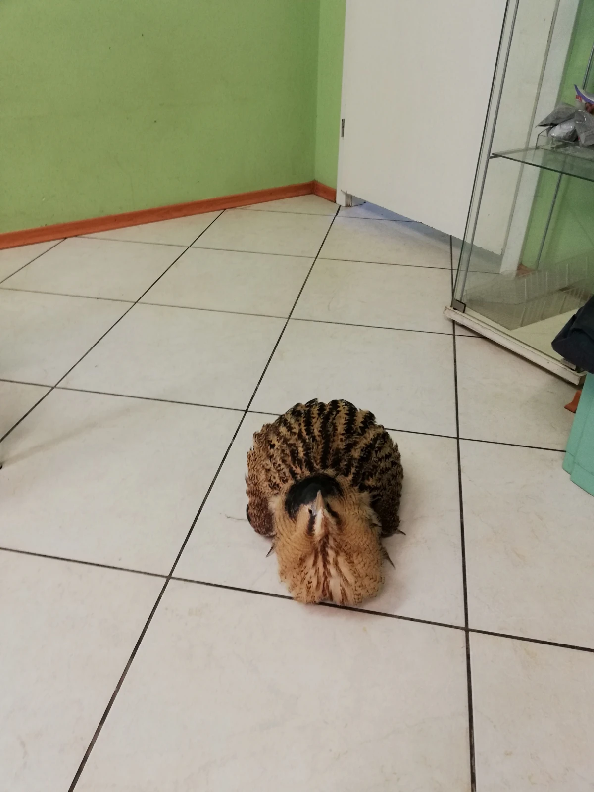 Zdjęcie