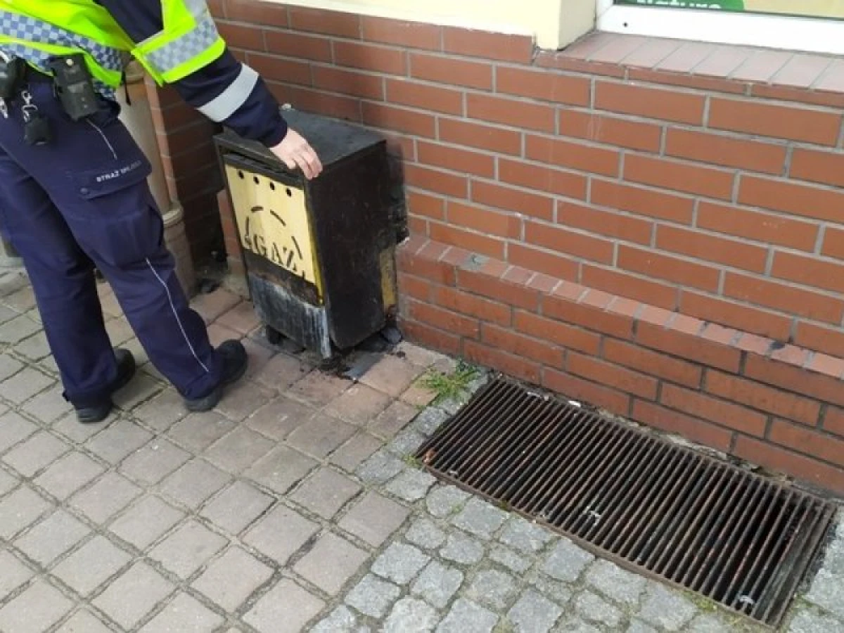 Zdjęcie