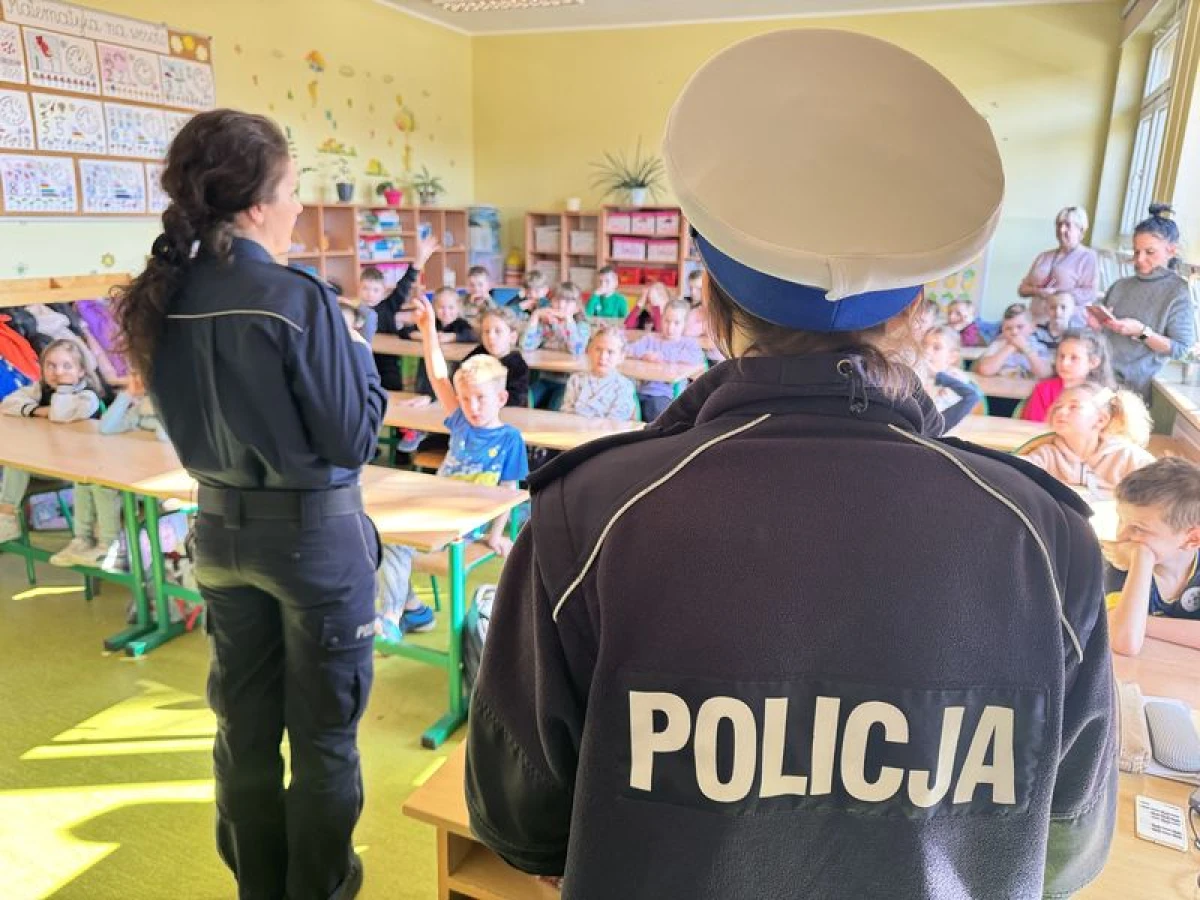 Zdjęcie