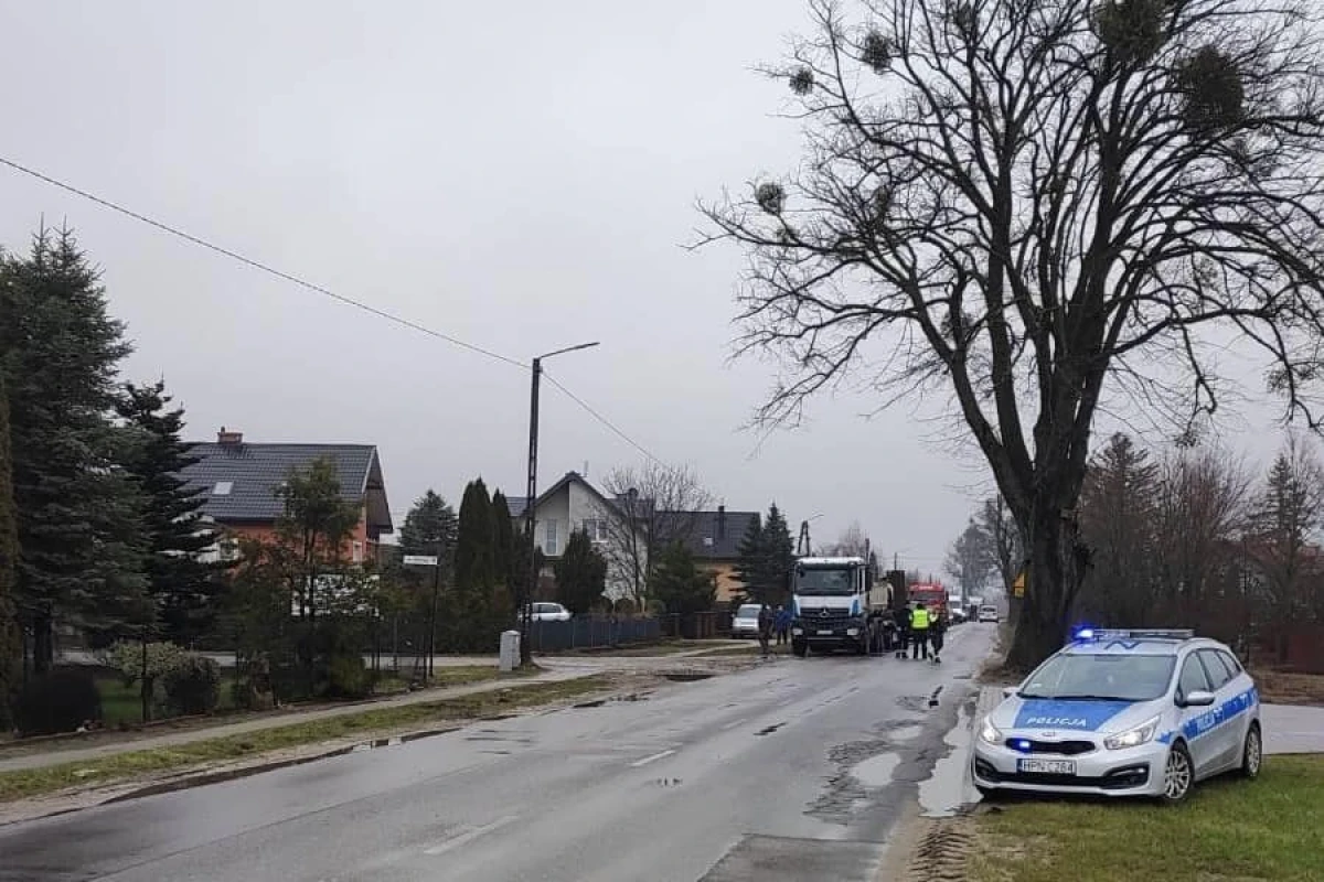 Zdjęcie