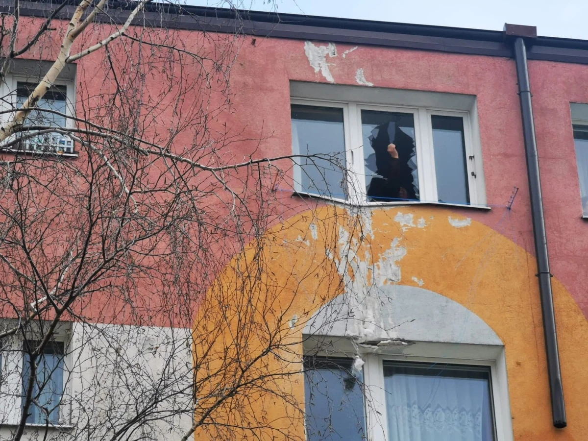 Zdjęcie