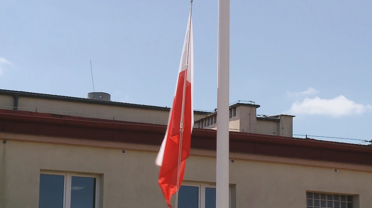 Zdjęcie