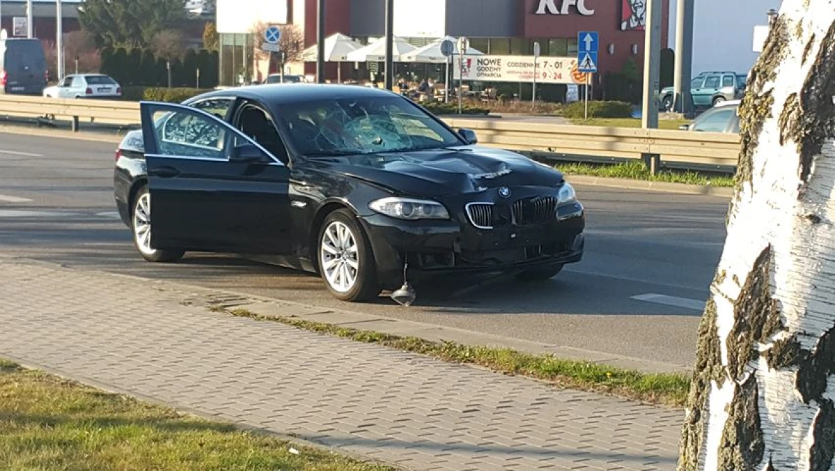 Zdjęcie