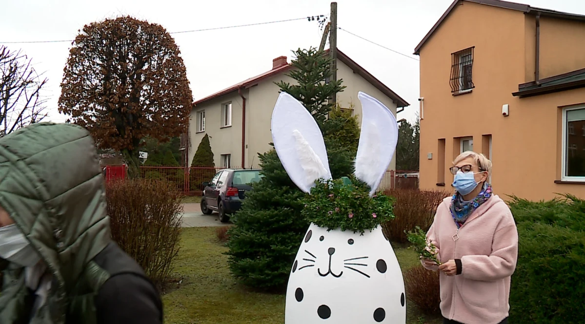 Zdjęcie