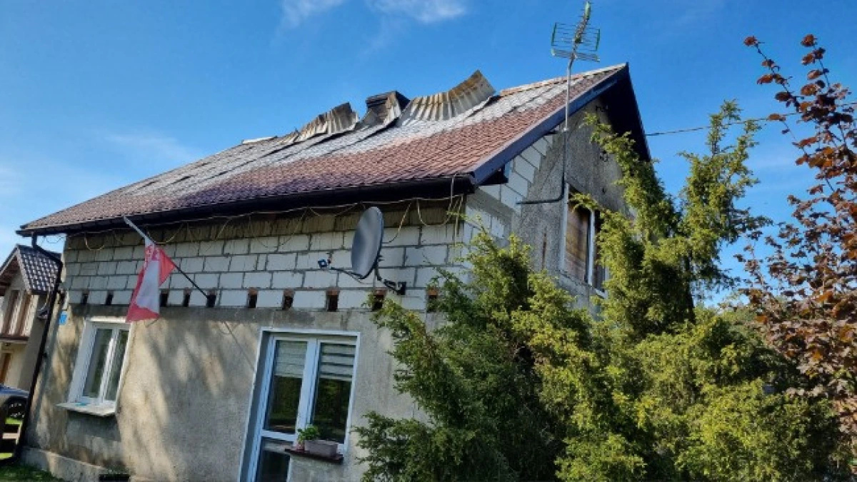 Zdjęcie
