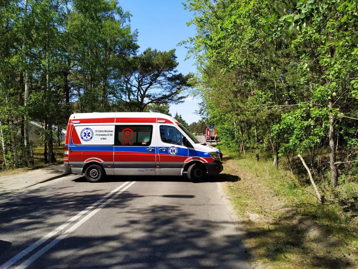 Zdjęcie