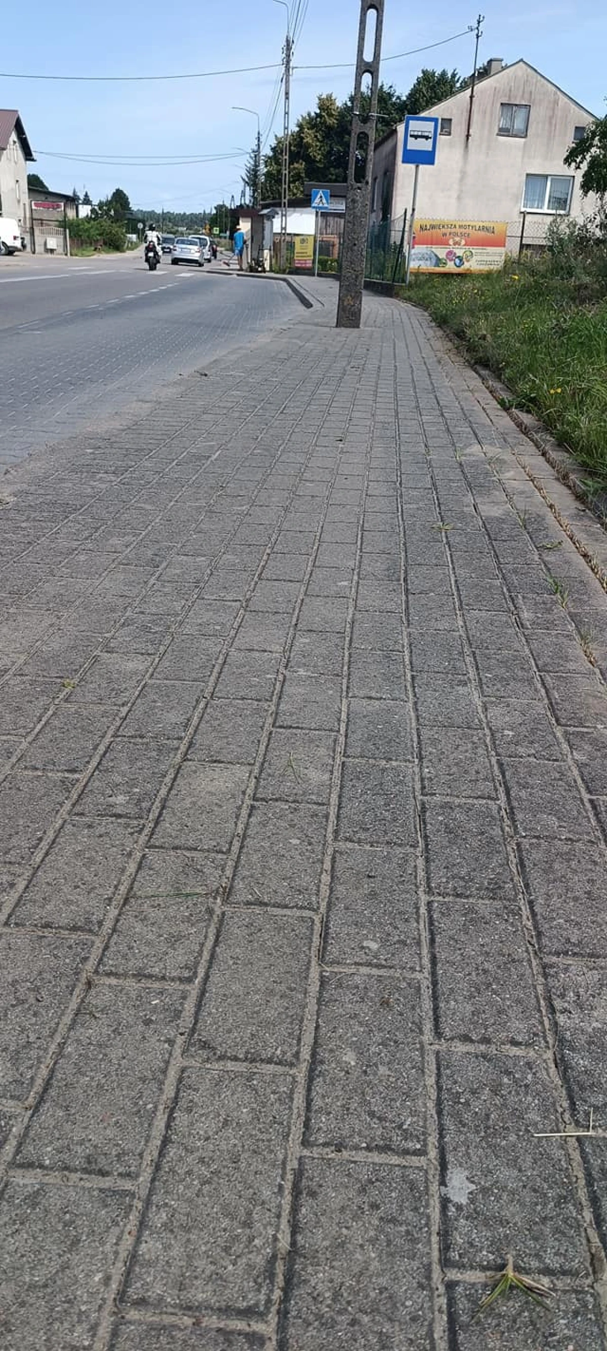 Zdjęcie