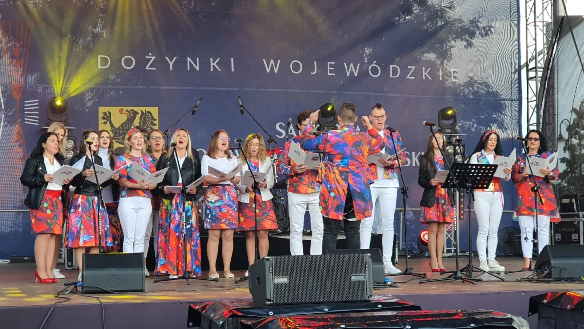 Zdjęcie