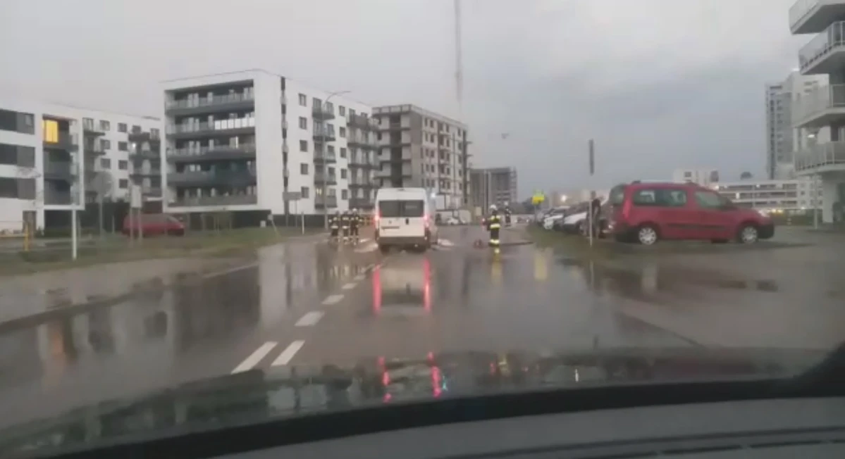 Zdjęcie