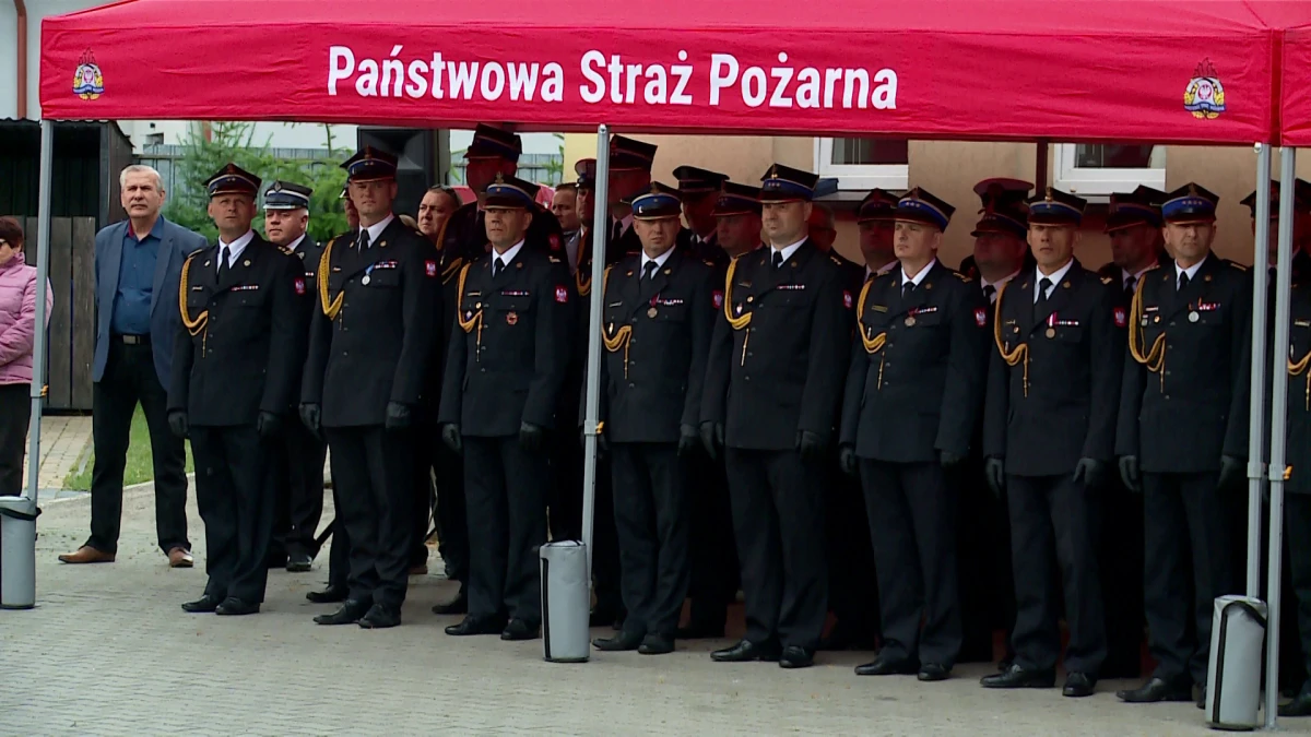 Zdjęcie
