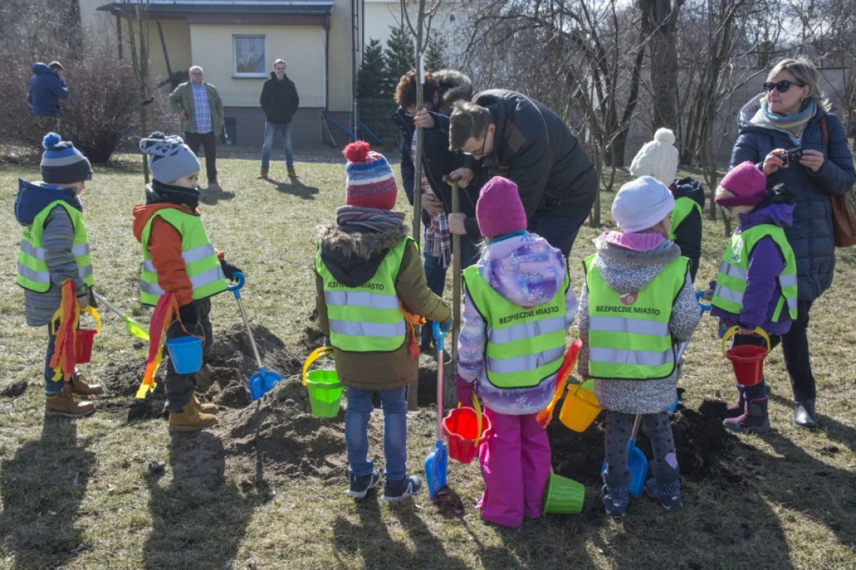 Zdjęcie