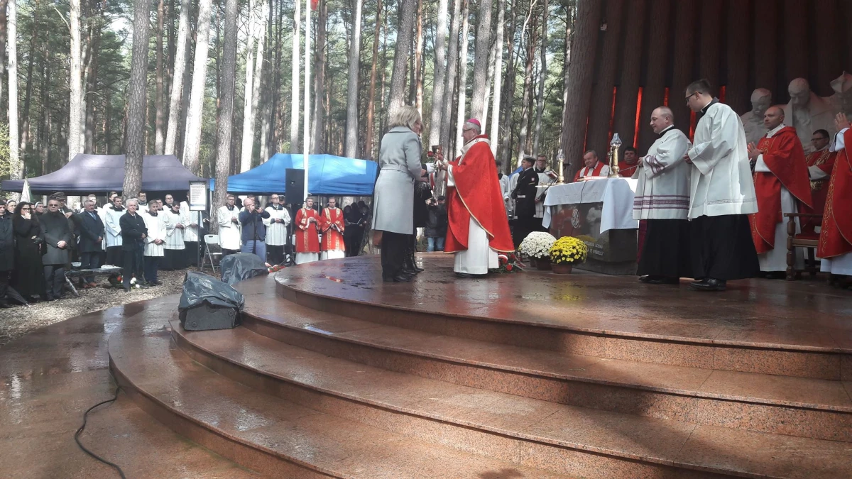 Zdjęcie