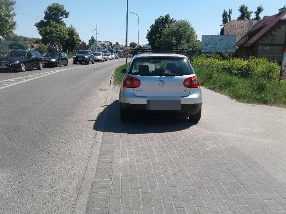 Zdjęcie