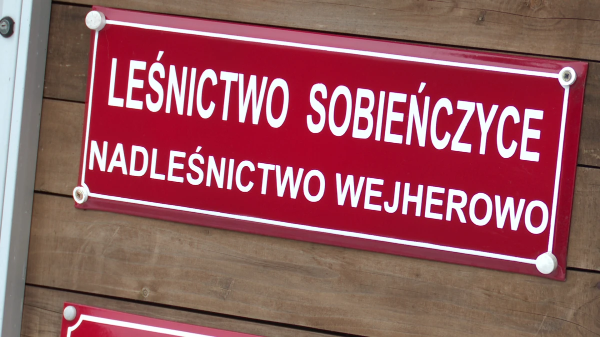 Zdjęcie