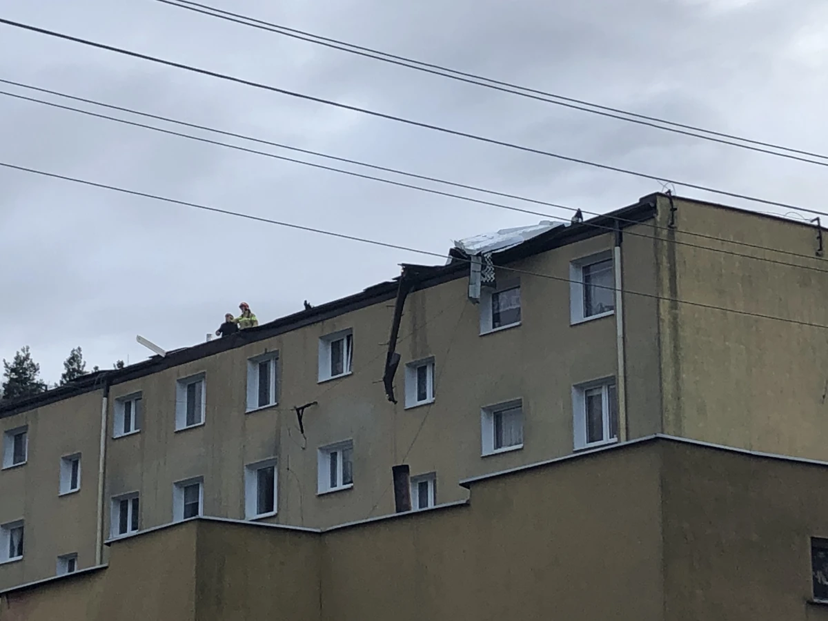 Zdjęcie