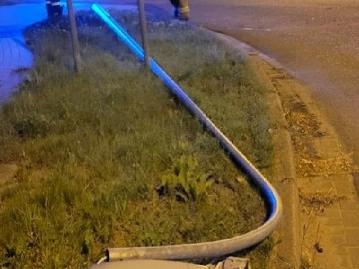 Zdjęcie