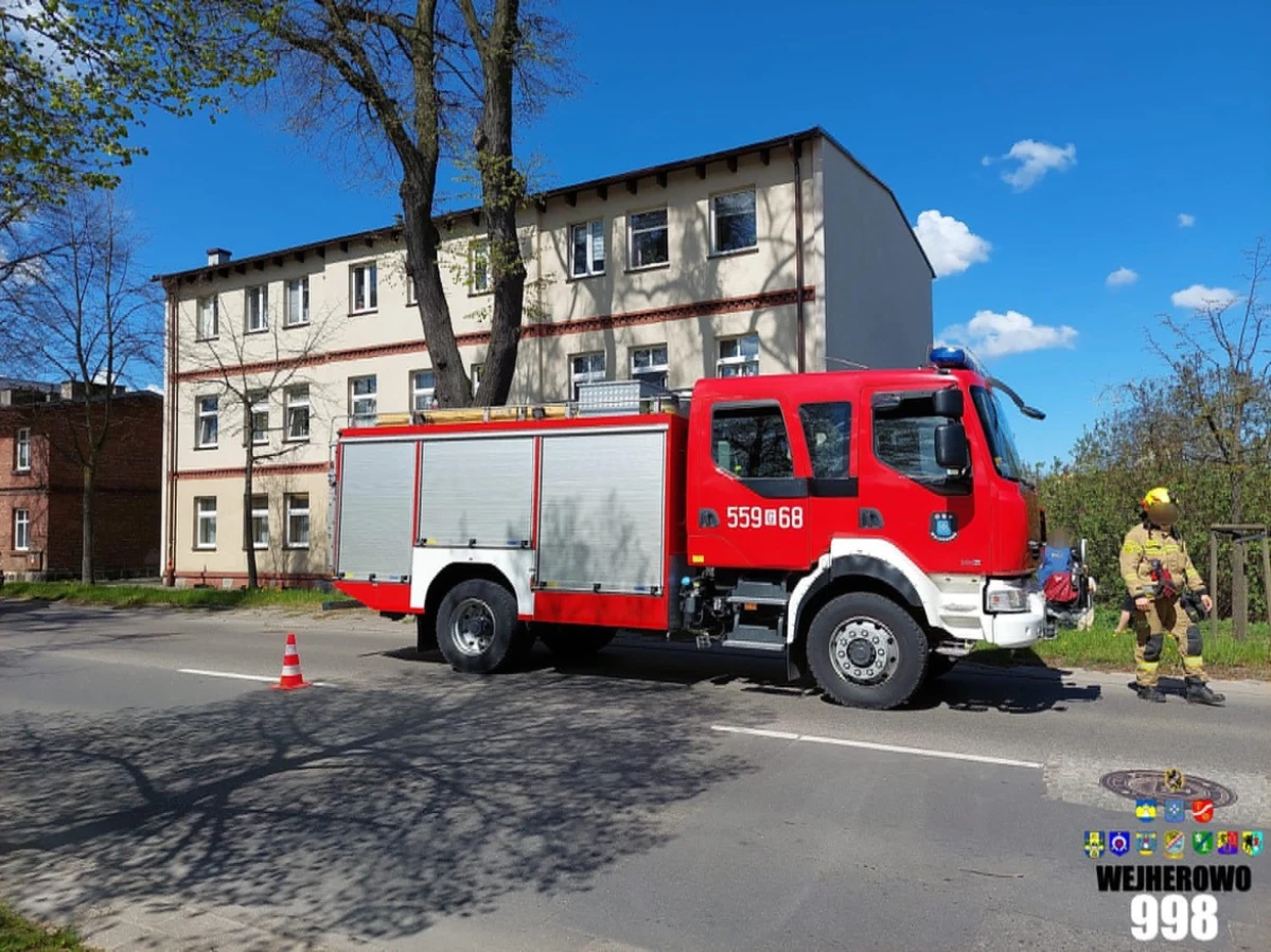 Zdjęcie