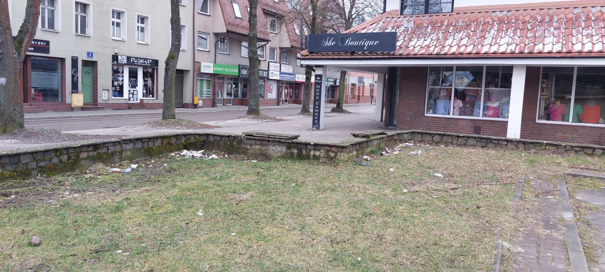 Zdjęcie