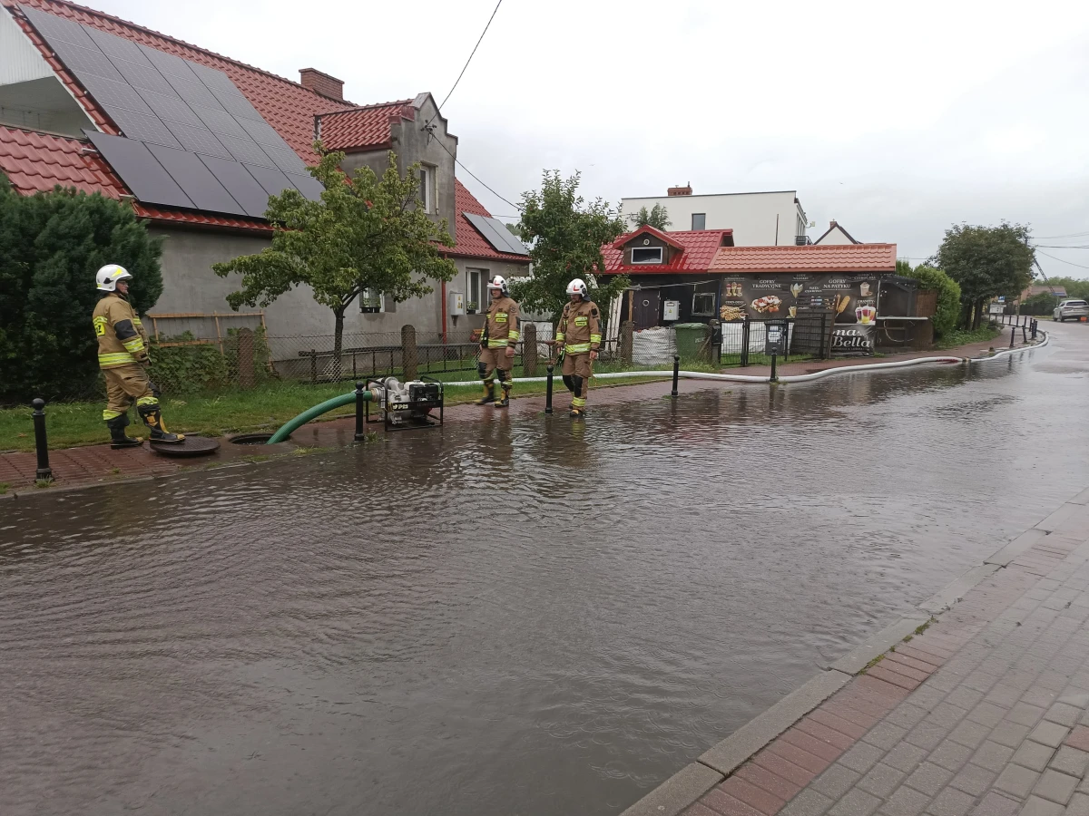 Zdjęcie