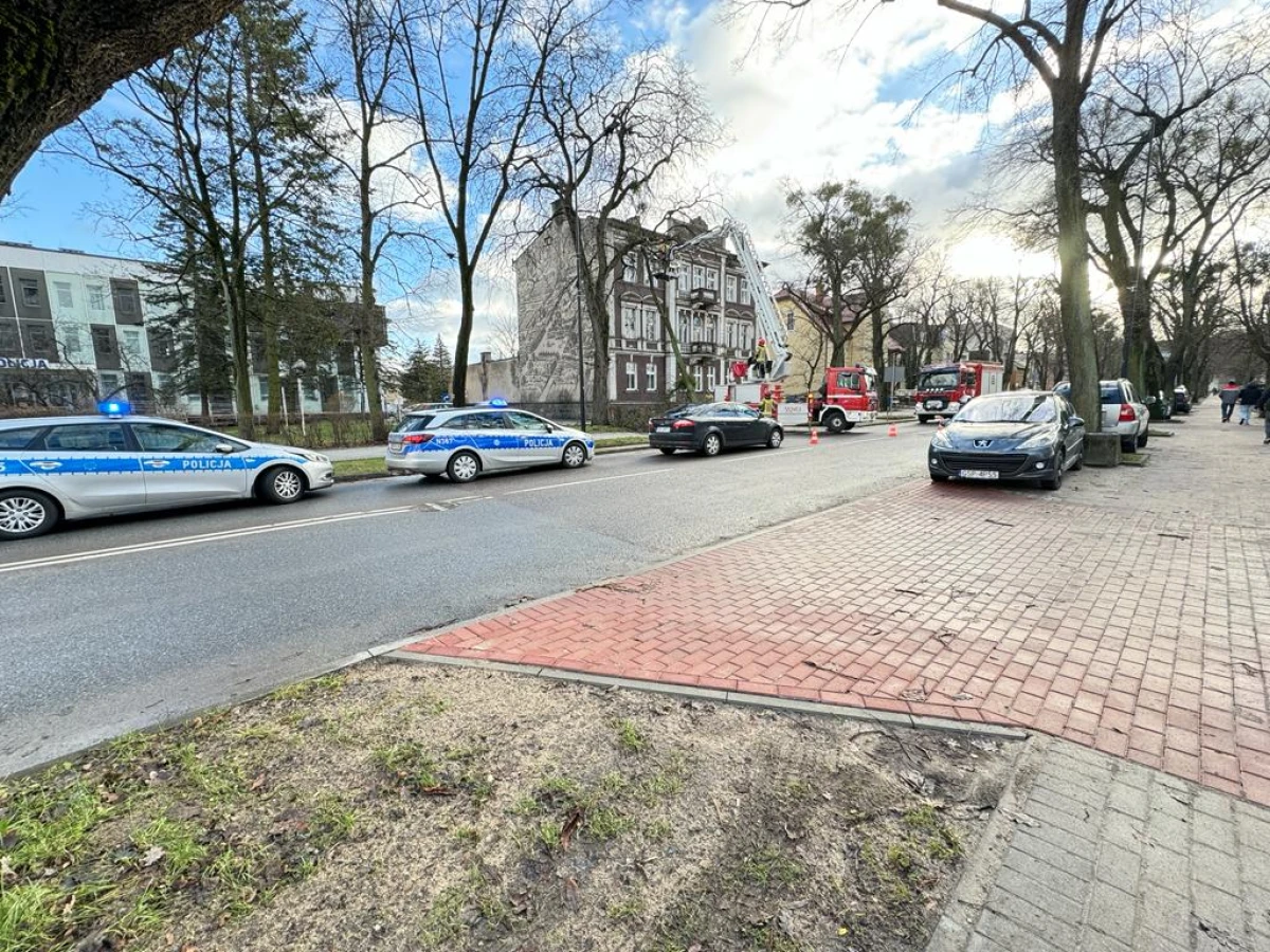 Zdjęcie
