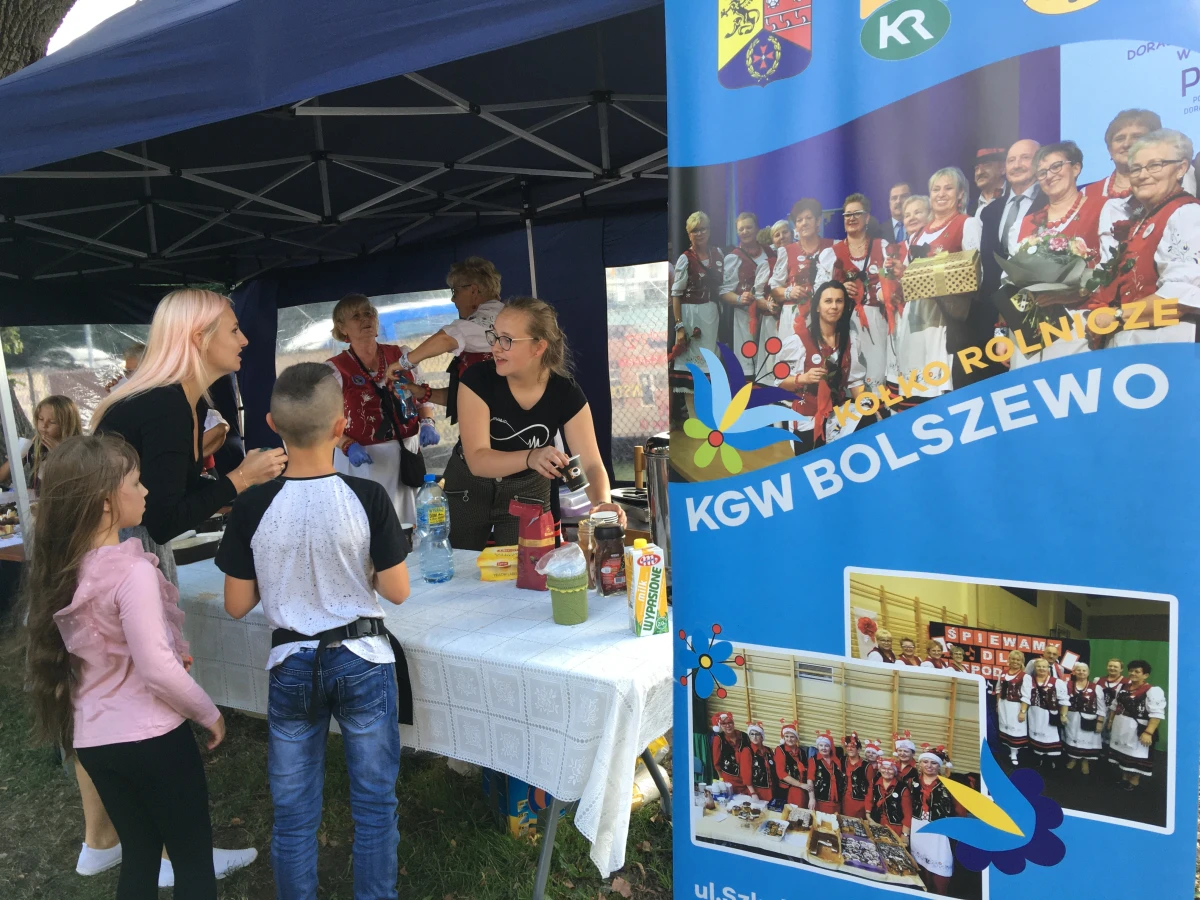 Zdjęcie