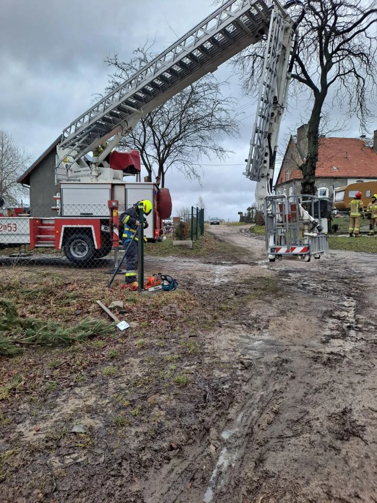 Zdjęcie