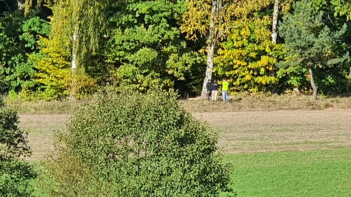 Zdjęcie