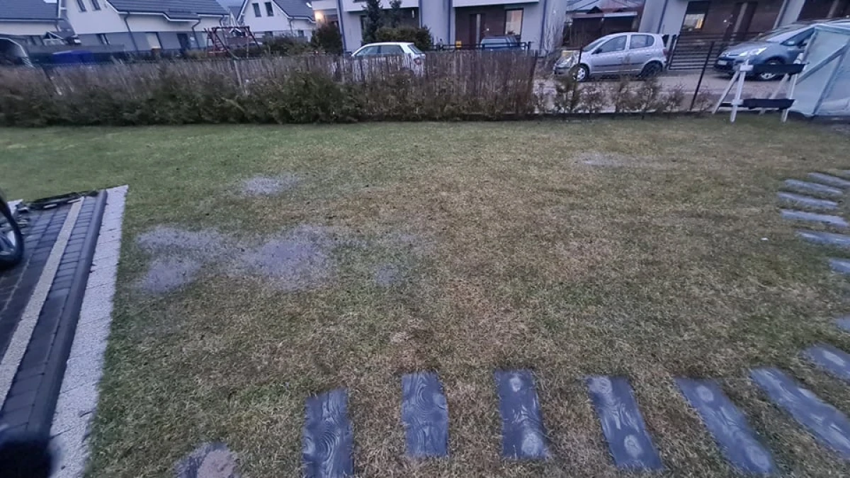 Zdjęcie