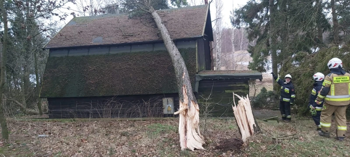 Zdjęcie