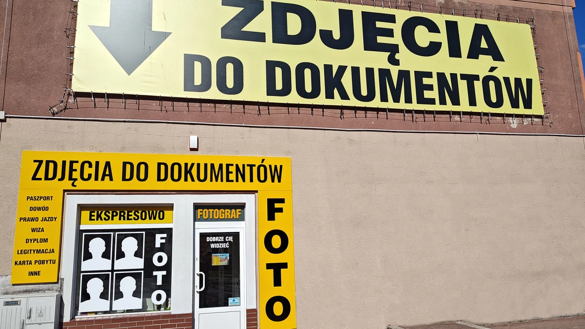 Zdjęcie