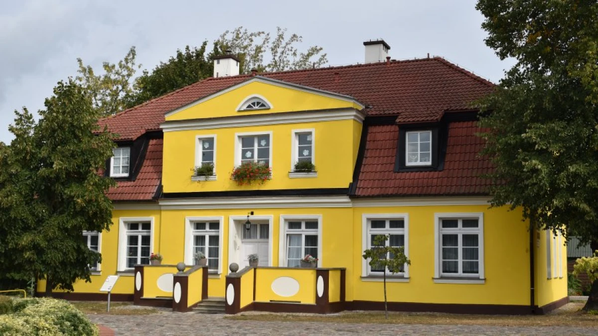 Zdjęcie