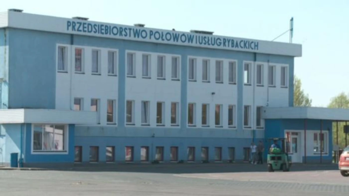 Zdjęcie