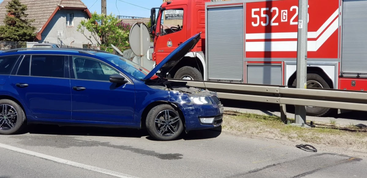 Zdjęcie