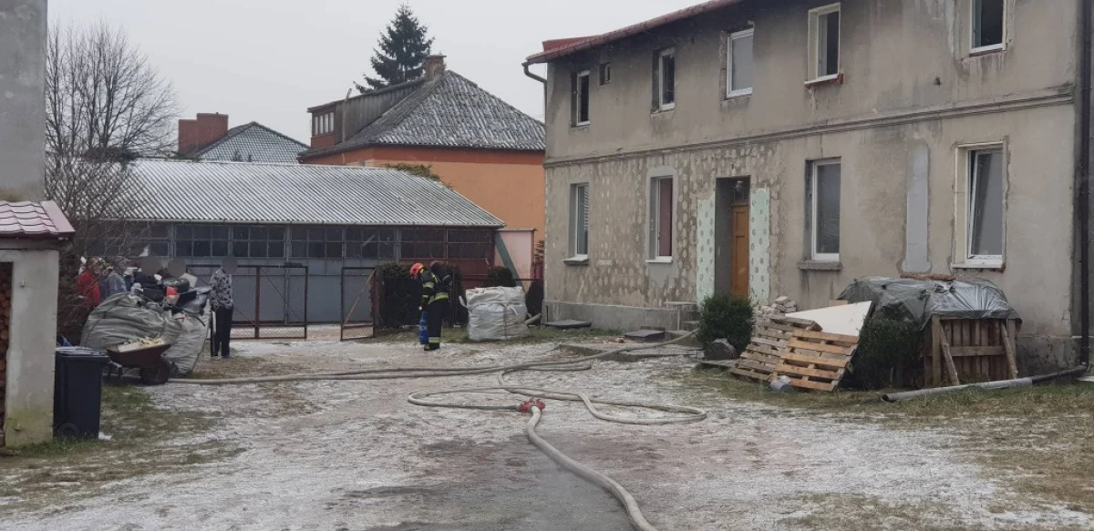 Zdjęcie