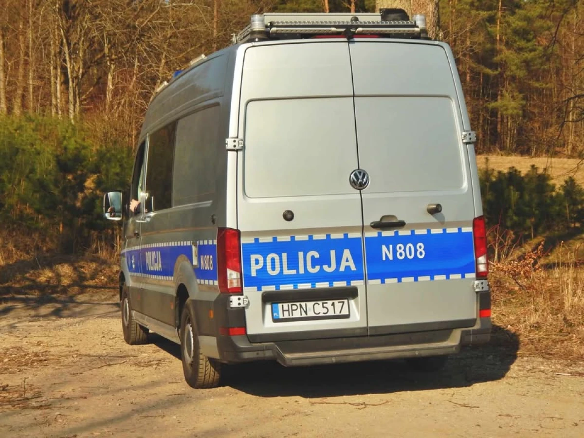 Zdjęcie