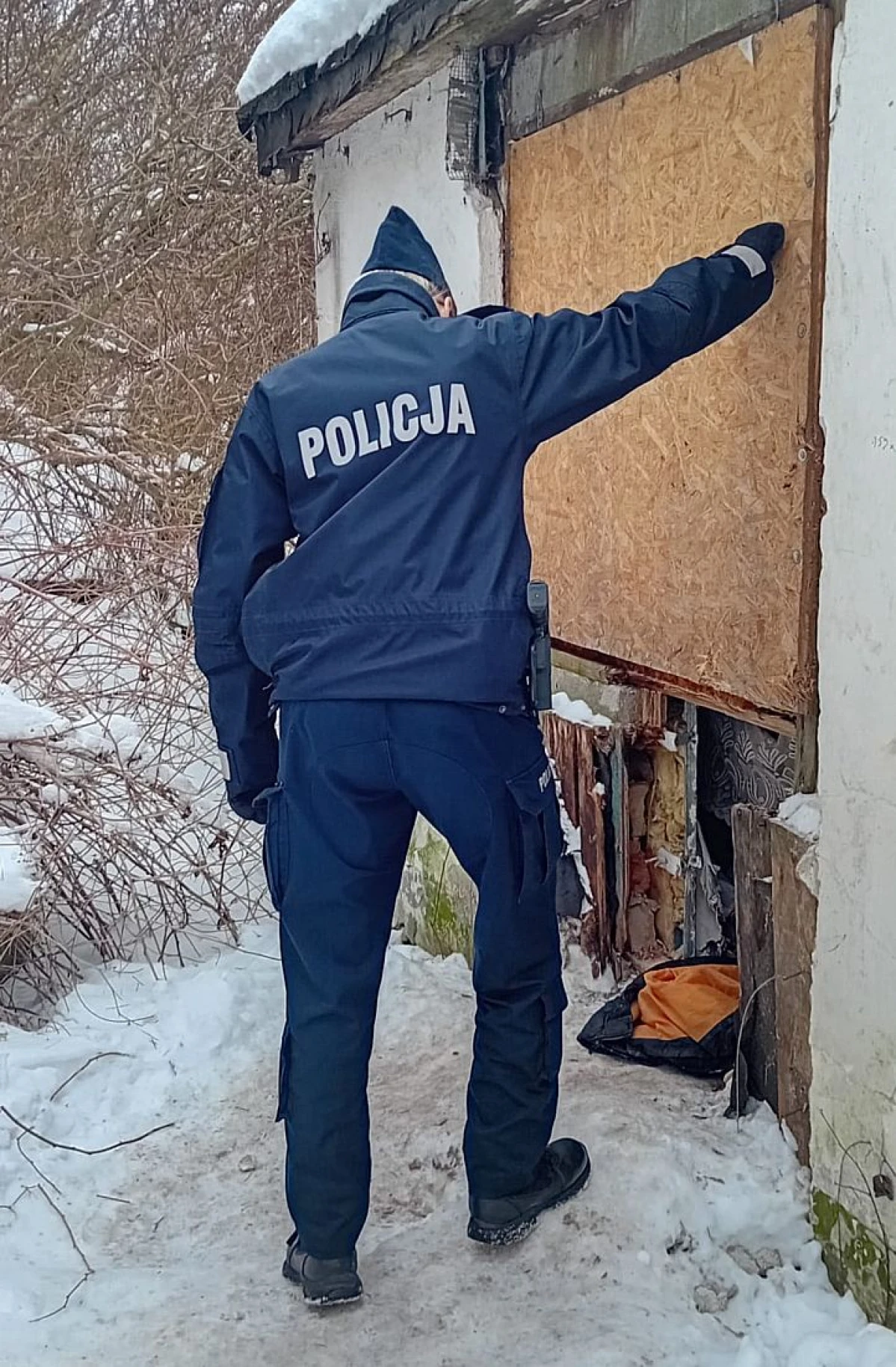 Zdjęcie