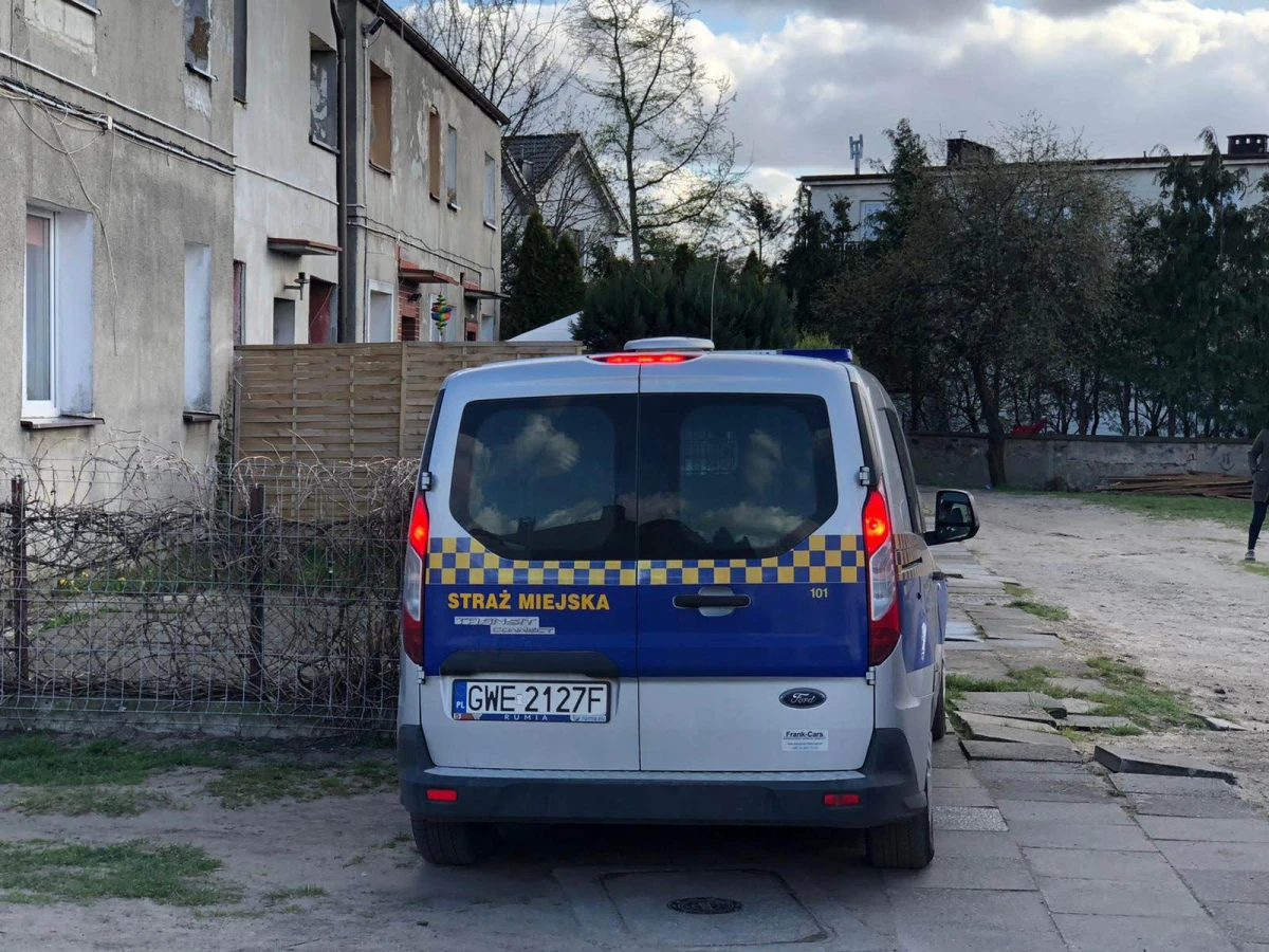 Zdjęcie