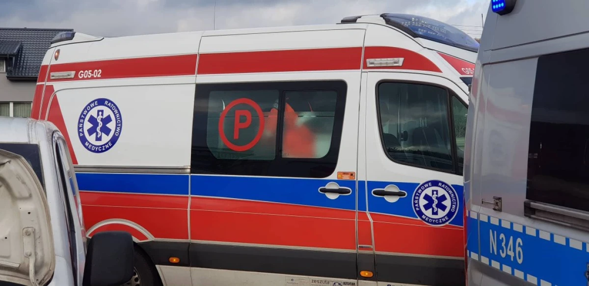 Zdjęcie