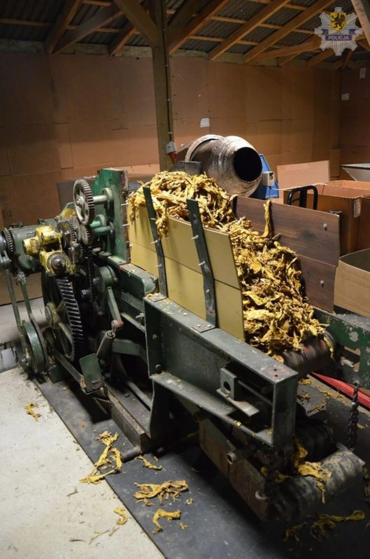 Zdjęcie