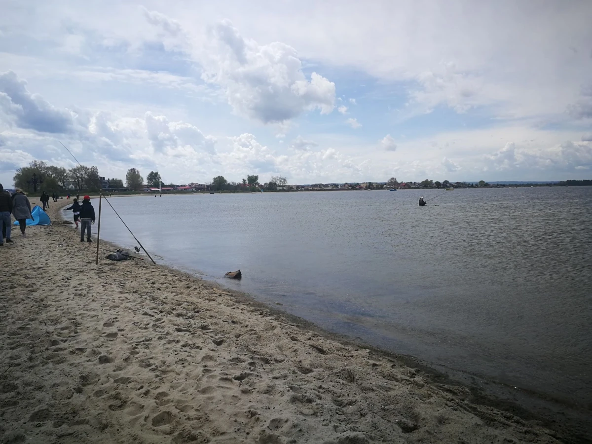 Zdjęcie
